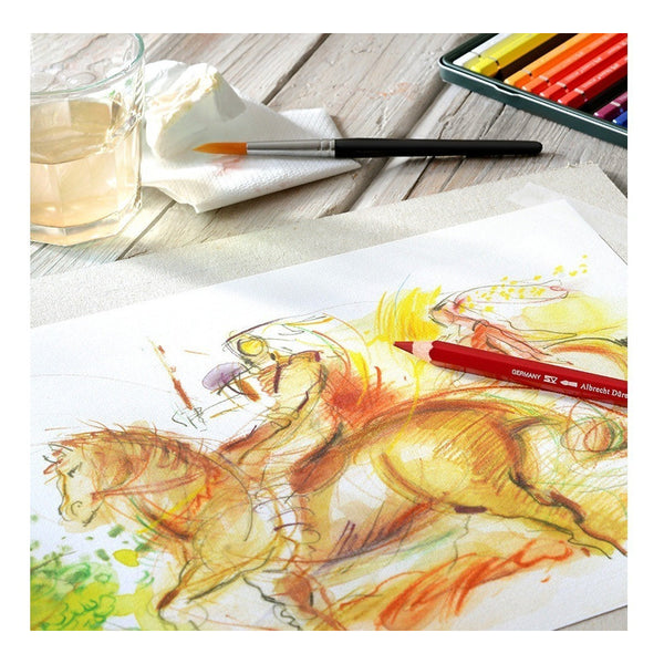 Set Faber-castell Albrecht Durer Magnus Watercolour - 12c