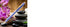 files/Cross_Century2_BP_LavenderGT_AT0082165_5.jpg