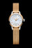 files/Victorinox_WATCH_ALLIANCE_LADY_XS_GoldenMeshWhiteDial_241879_2.jpg